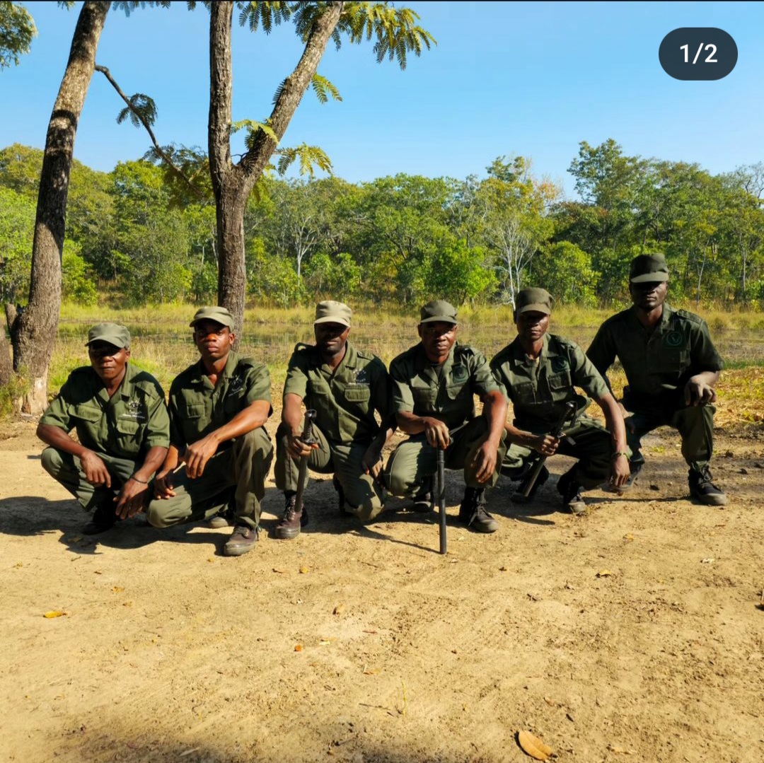 Cinematic landscape of the reserve